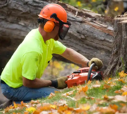 tree services Kenly